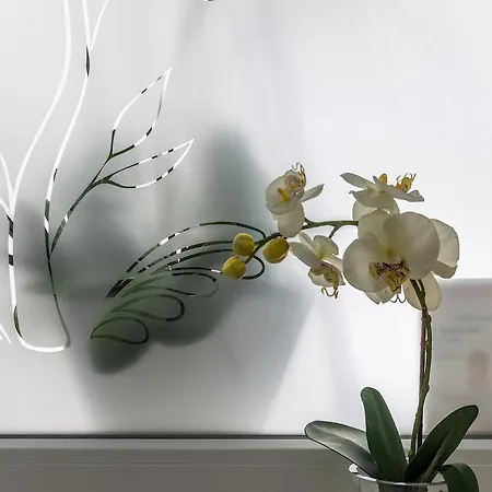 Aparthotel Gl Wiesbaden